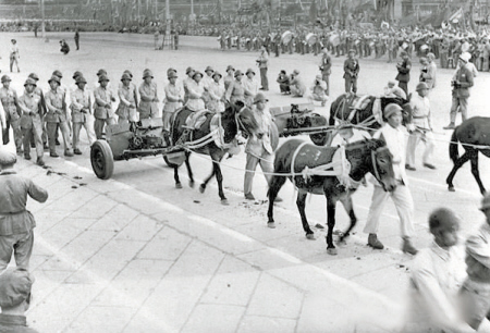 1949????????????璞�